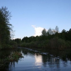 Лето&nbsp;251