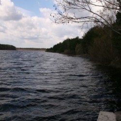 Весна&nbsp;243