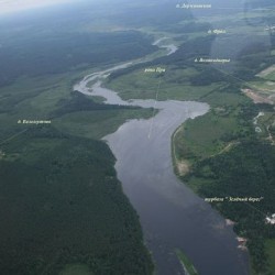 Глазами птиц&nbsp;325