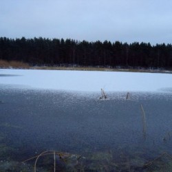 Осень&nbsp;227