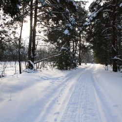 Сафари580